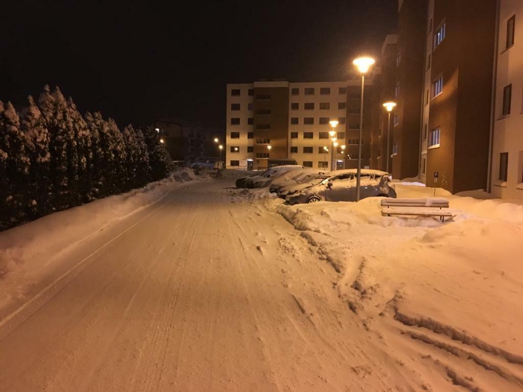 Maja Neumarkt